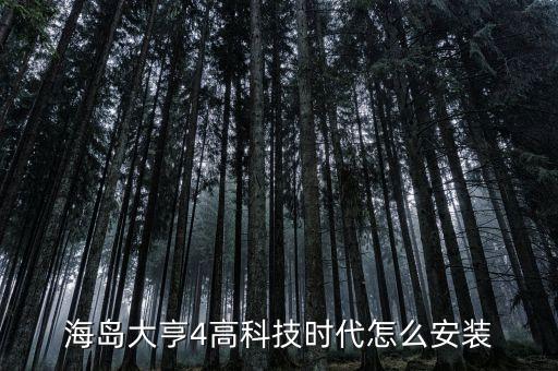 海島大亨4高科技時(shí)代怎么安裝