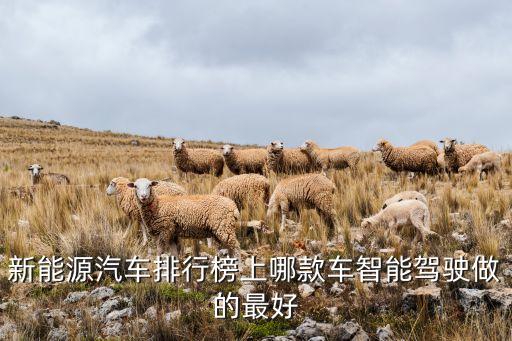 新能源汽車排行榜上哪款車智能駕駛做的最好