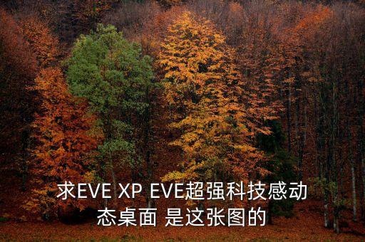 求EVE XP EVE超強(qiáng)科技感動(dòng)態(tài)桌面 是這張圖的