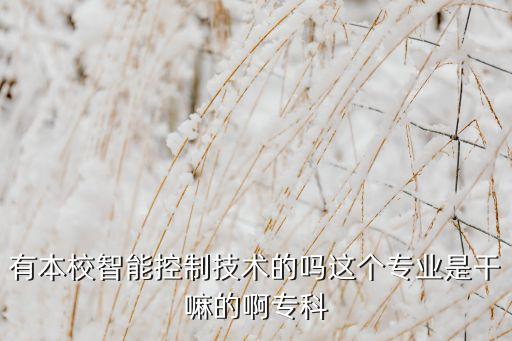 有本校智能控制技術(shù)的嗎這個(gè)專(zhuān)業(yè)是干嘛的啊專(zhuān)科