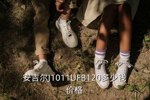 安吉爾J1011UFB120多少錢價格