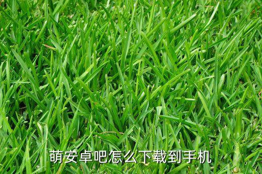 萌安卓吧怎么下載到手機