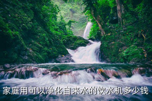 家庭用可以?xún)艋詠?lái)水的飲水機(jī)多少錢(qián)