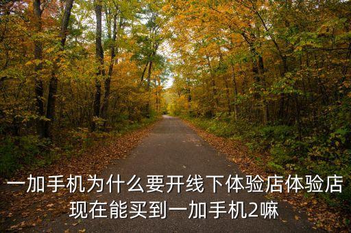 一加手機為什么要開線下體驗店體驗店現(xiàn)在能買到一加手機2嘛