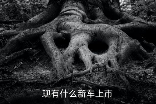 現(xiàn)有什么新車上市