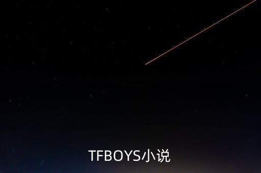 全員加速中小說TFBOYS，全員加速中有沒有TFBOYS