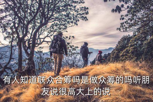 有人知道聯(lián)眾合籌嗎是做眾籌的嗎聽朋友說很高大上的說