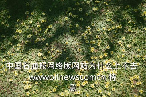中國石油報網(wǎng)絡(luò)版網(wǎng)站為什么上不去 wwwoilnewscomcn 特急
