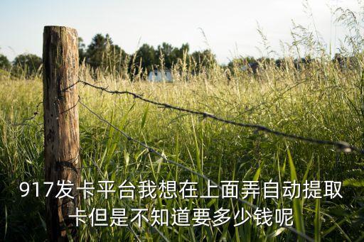 917發(fā)卡平臺(tái)我想在上面弄自動(dòng)提取卡但是不知道要多少錢呢