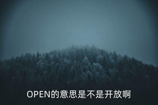 open有開放的意思嗎，OPEN的意思是不是開放啊