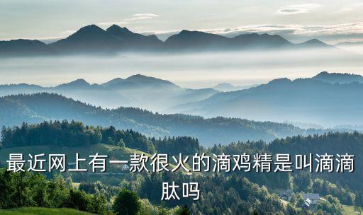最近很火的食品科技，北京中科心果寶科技發(fā)展有限公司主要做電商保健品行業(yè)的但是都做