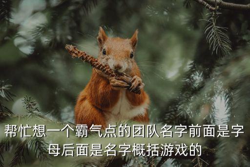 幫忙想一個(gè)霸氣點(diǎn)的團(tuán)隊(duì)名字前面是字母后面是名字概括游戲的