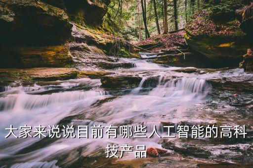大家來(lái)說(shuō)說(shuō)目前有哪些人工智能的高科技產(chǎn)品