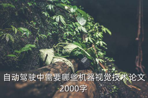 自動(dòng)駕駛中需要哪些機(jī)器視覺(jué)技術(shù)論文2000字
