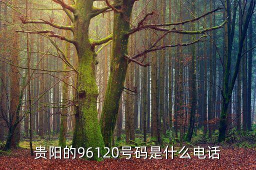 貴陽的96120號碼是什么電話