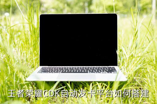 王者榮耀CDK自動(dòng)發(fā)卡平臺(tái)如何搭建
