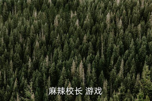 麻辣校長 游戲