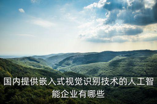 國內(nèi)提供嵌入式視覺識(shí)別技術(shù)的人工智能企業(yè)有哪些