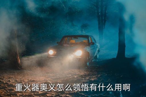 重火器奧義怎么領(lǐng)悟有什么用啊