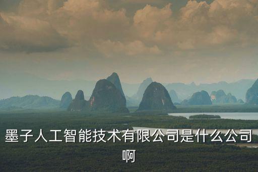 墨子人工智能技術(shù)有限公司是什么公司啊
