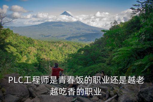 plc工程師能干到多少歲，plc 程序能保持多少年