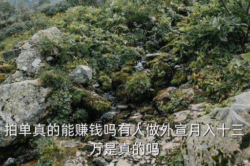 拍單真的能賺錢嗎有人做外宣月入十三萬是真的嗎