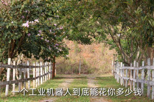 一個工業(yè)機器人到底能花你多少錢