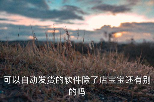 可以自動發(fā)貨的軟件除了店寶寶還有別的嗎