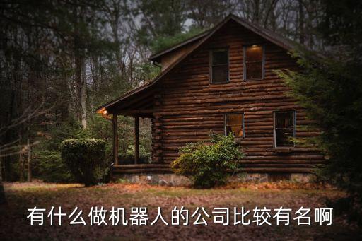 有什么做機(jī)器人的公司比較有名啊