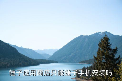 錘子應(yīng)用商店只能錘子手機(jī)安裝嗎