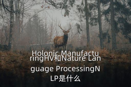 Holonic ManufacturingHV和Nature Language ProcessingNLP是什么