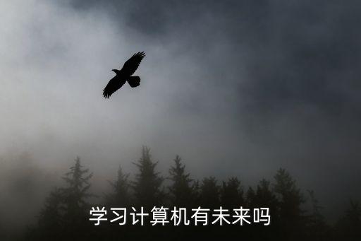 學(xué)習(xí)計(jì)算機(jī)有未來嗎
