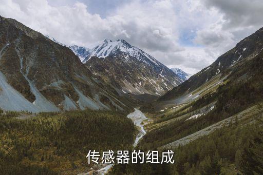 傳感器的組成