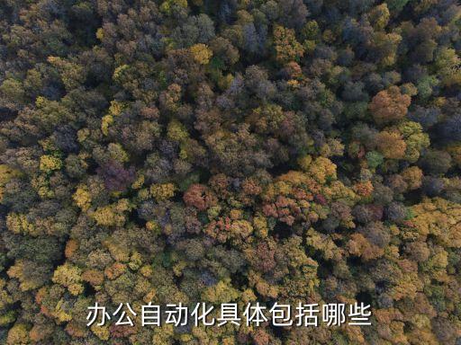 辦公自動(dòng)化具體包括哪些