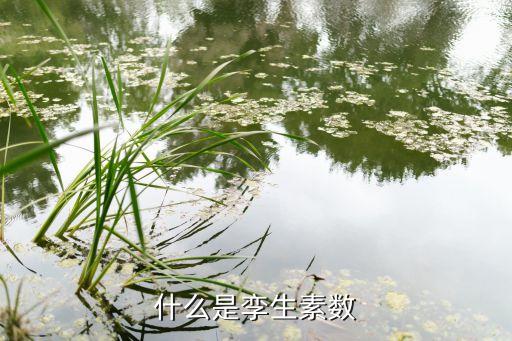 什么是孿生素?cái)?shù)