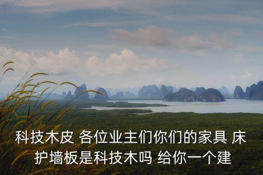 科技木皮 各位業(yè)主們你們的家具 床 護(hù)墻板是科技木嗎 給你一個建