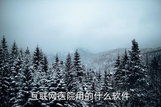互聯(lián)網(wǎng)醫(yī)院小程序，有些什么比較好的互聯(lián)網(wǎng)醫(yī)療軟件