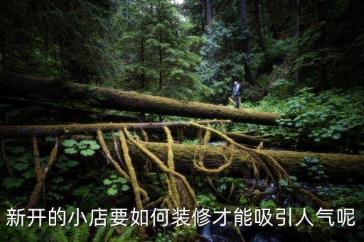 創(chuàng)意小店裝修，新開的小店要如何裝修才能吸引人氣呢