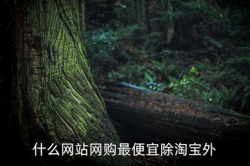 什么網(wǎng)站網(wǎng)購(gòu)最便宜除淘寶外