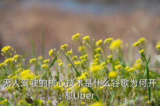 無人駕駛核心技術(shù)包括哪些，無人駕駛的核心技術(shù)是什么谷歌為何開懟Uber