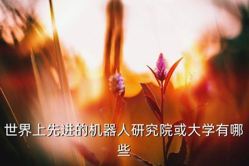 世界上先進(jìn)的機(jī)器人研究院或大學(xué)有哪些
