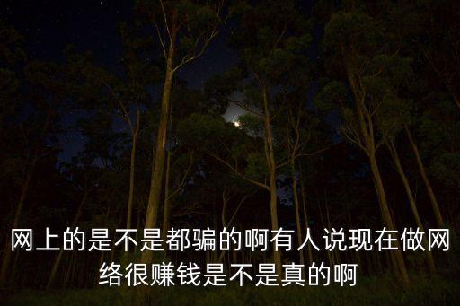 網(wǎng)上的是不是都騙的啊有人說現(xiàn)在做網(wǎng)絡(luò)很賺錢是不是真的啊