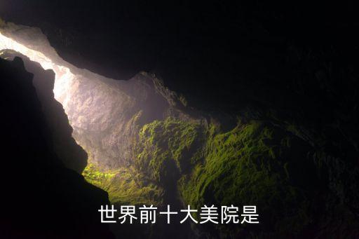 世界前十大美院是