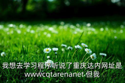 重慶米睿科技公司官網(wǎng)官，我想去學(xué)習(xí)程序聽說(shuō)了重慶達(dá)內(nèi)網(wǎng)址是wwwcqtarenanet 但我