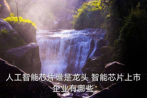 人工智能的龍頭上市公司有哪些，人工智能芯片誰是龍頭 智能芯片上市企業(yè)有哪些