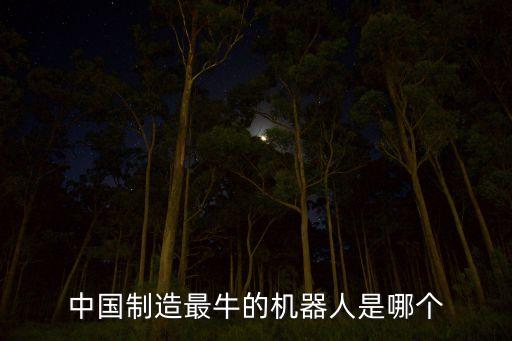 中國(guó)制造最牛的機(jī)器人是哪個(gè)