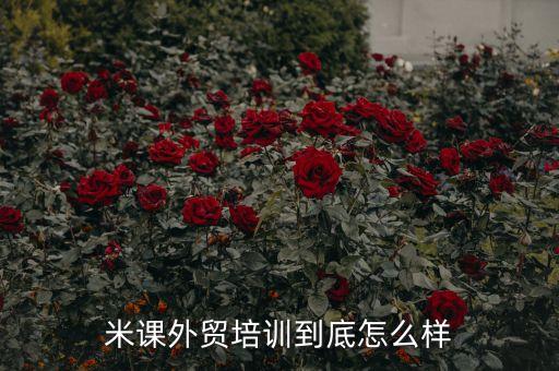 米課外貿(mào)培訓(xùn)，米課外貿(mào)培訓(xùn)效果怎樣有用么
