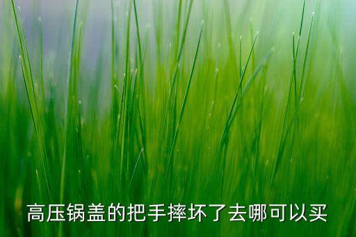 高壓鍋蓋的把手摔壞了去哪可以買