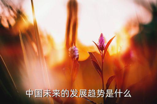 中國(guó)未來(lái)發(fā)展趨勢(shì)，中國(guó)未來(lái)的發(fā)展趨勢(shì)是什么