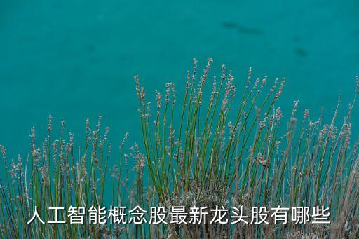 人工智能概念股最新龍頭股有哪些